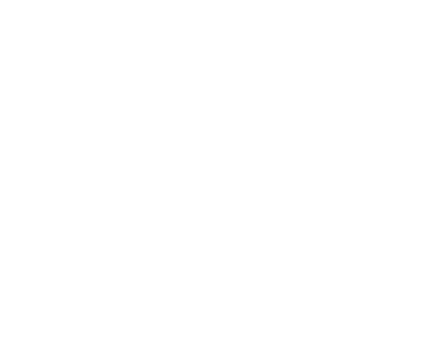 logo-face-Destiny-sport-1